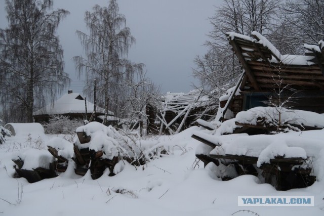 Заброшенные деревни Ярославской области. Как вымирает село без моста