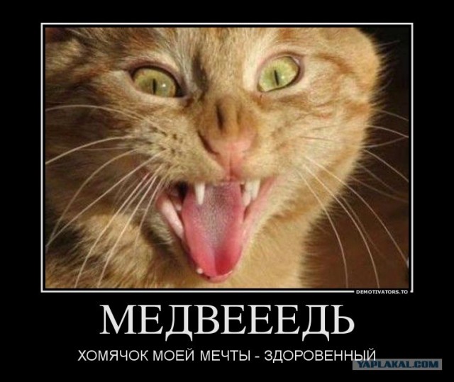 А по сопатке?