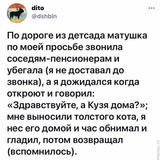 Картинки и мемы для настроения 19.05.2021