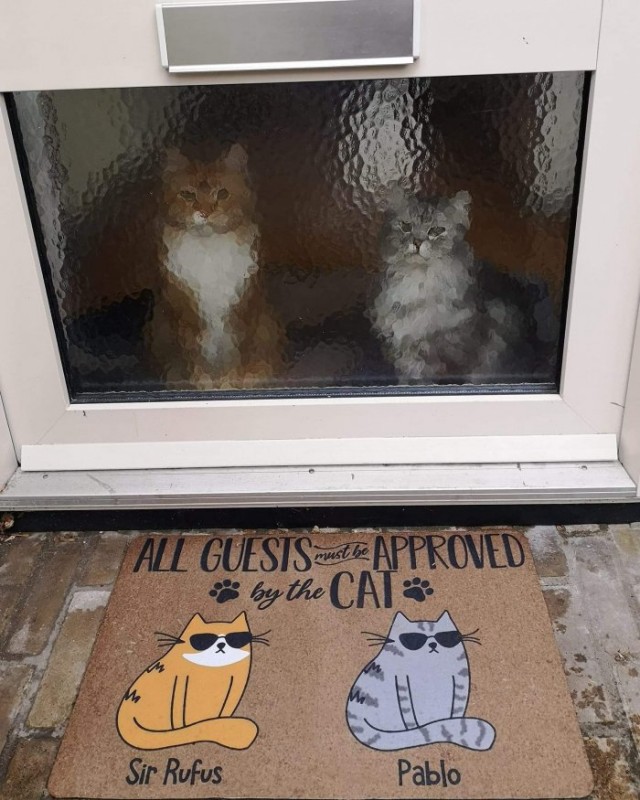 Картинки и мемы для настроения 03.06.2021