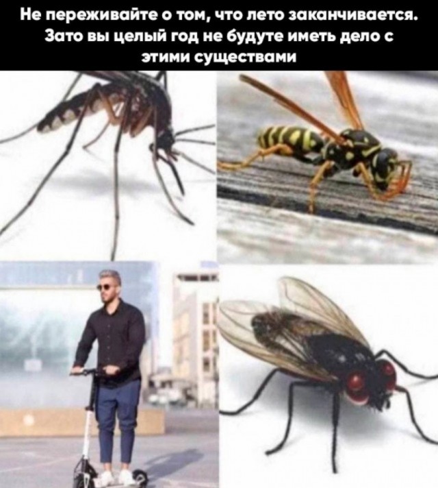 Не очень умные картинки