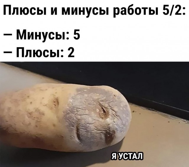 Так себе картинки 28.11.21