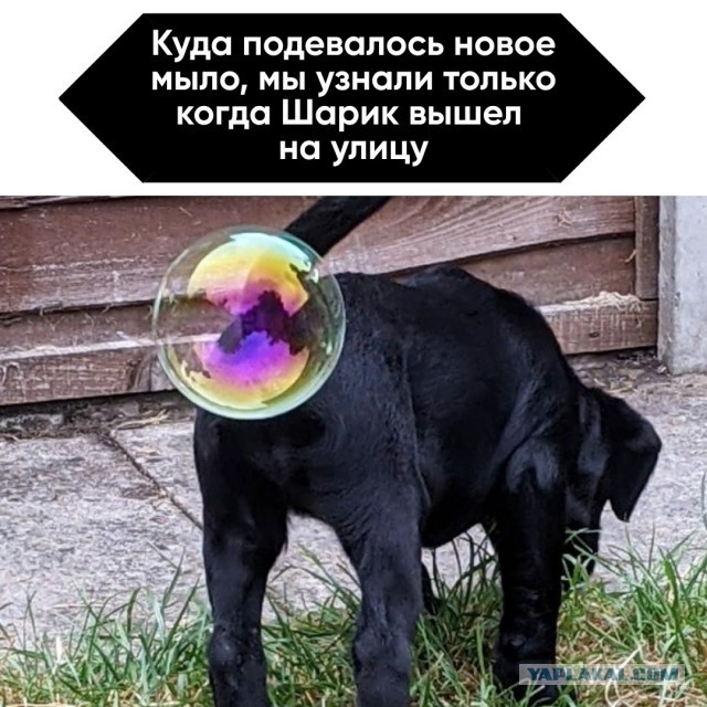 МС-21 сертификация завершена