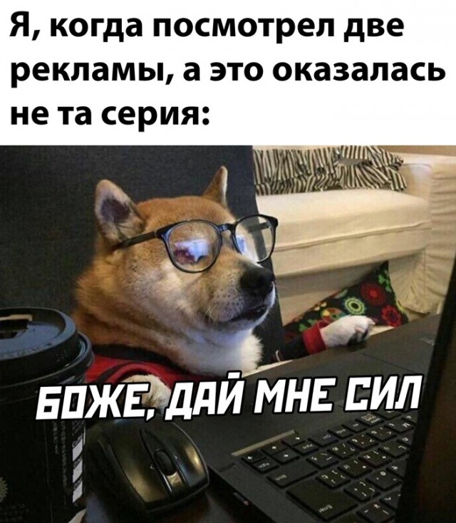 Картинки и мемы, всем отличных выходных