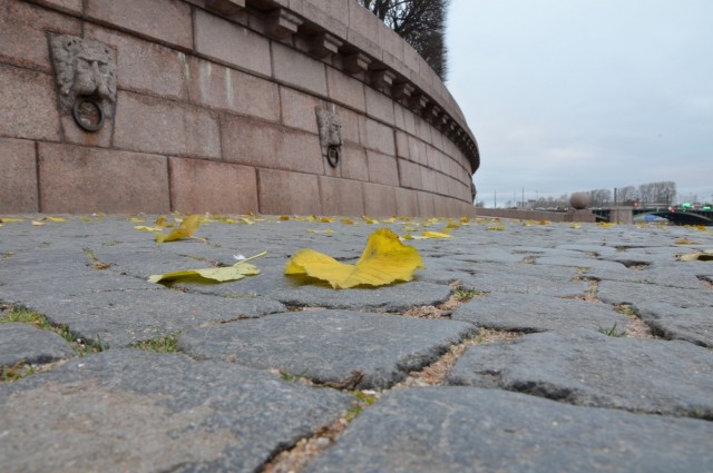 Сегодня День Города Санкт-Петербург, всех причастных с Праздником
