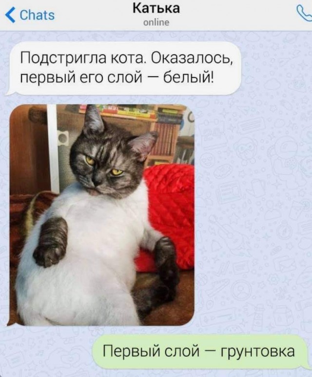 Баянисто-небаянистый юмор 7.06.22