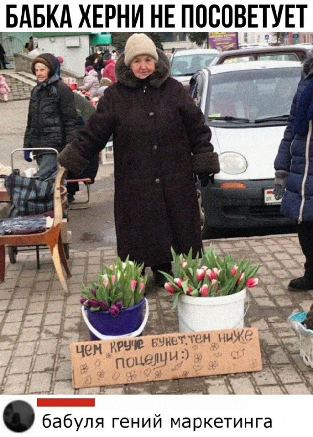 Весёлый полтишок 08.09.22
