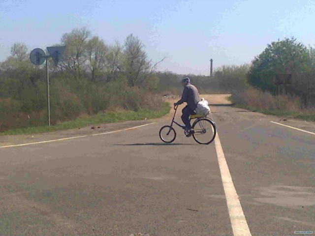 Ярцево - Брест - Питер - Ярцево