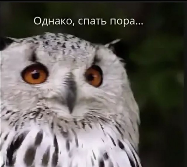 Победная поступь идиотизма по планете.