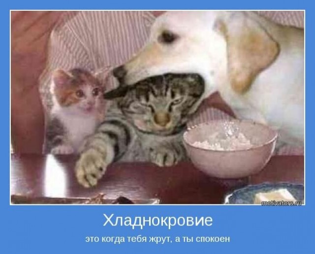 Юмор в картинках и без