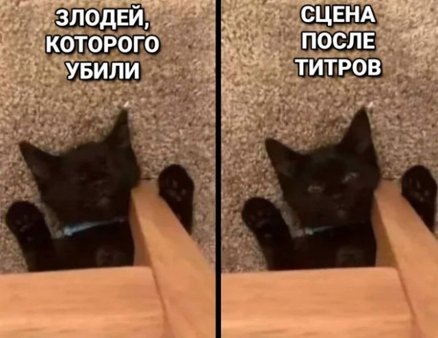 Замолчи мама