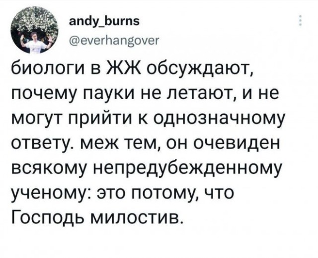 Картинки и мемы. Выходные близко...
