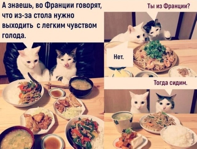 Так себе картинки 26.03.23