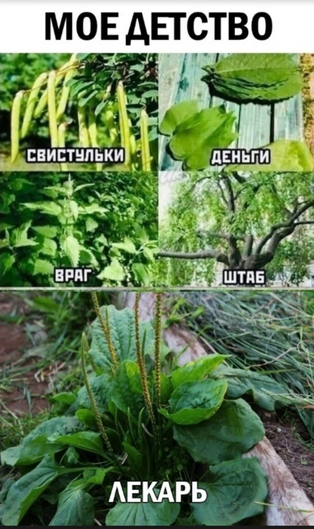 Сколько счас стоит писечка