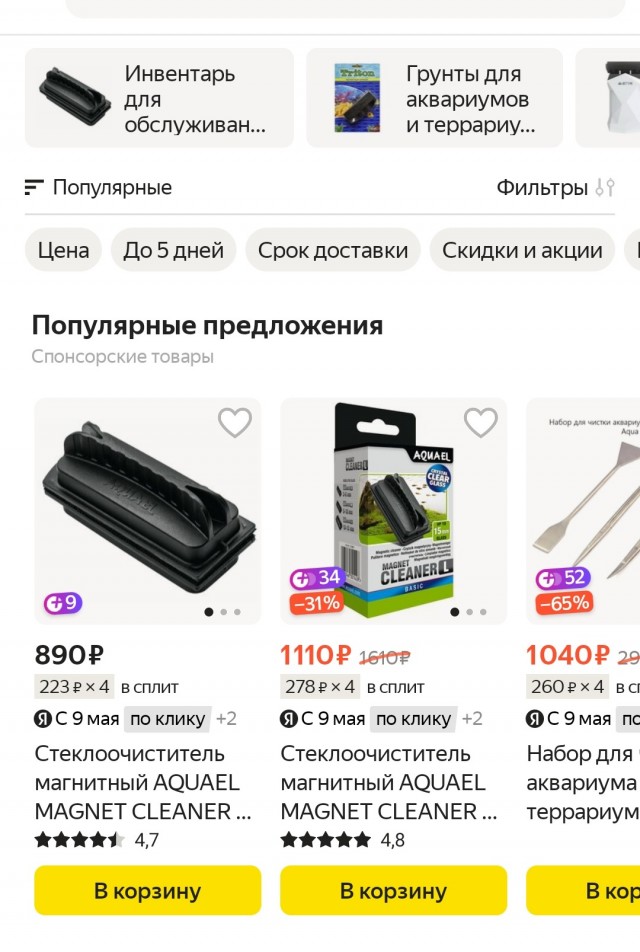 Как почистить большой бутыль изнутри