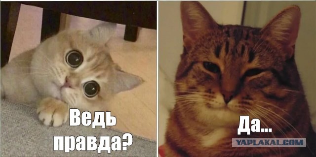 "Работайте, братья!"