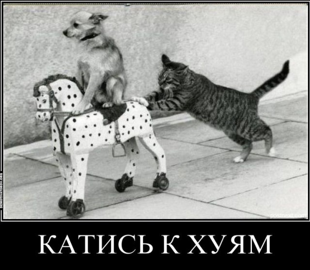 Клево когда работа приносит тебе удовольствие!