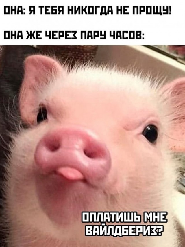 Юмор в картинках и без