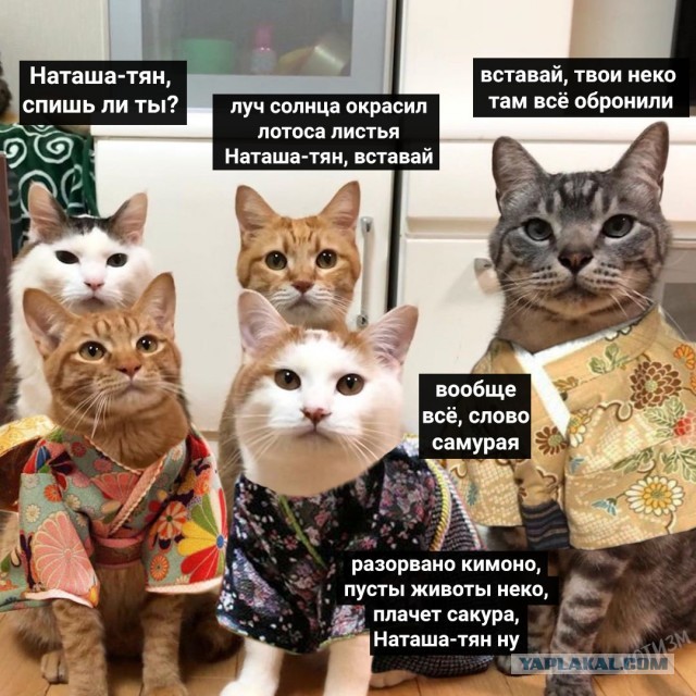 Немного доброго вам в ленту