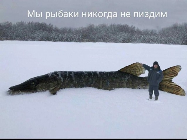 Улов