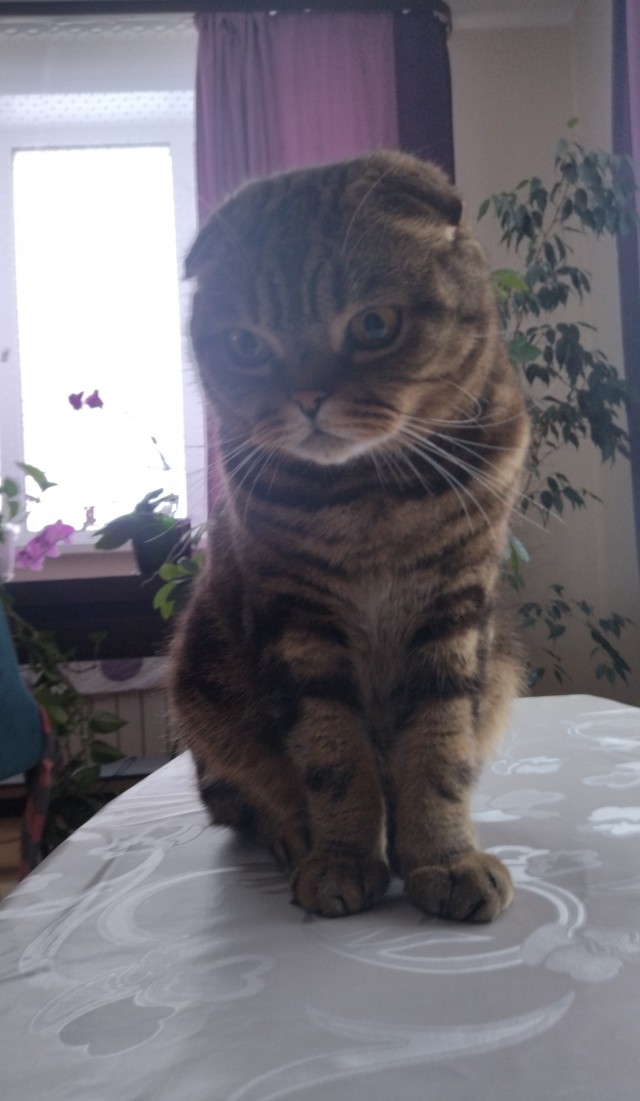 Здравствуйте, доброе утро