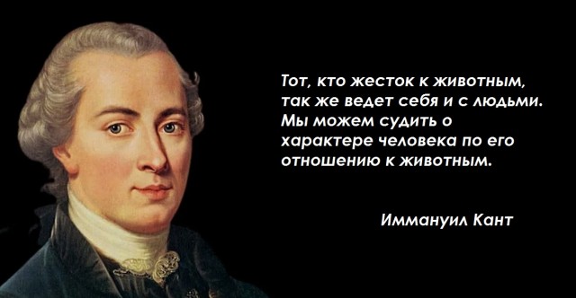 В отношении проводницы возбудили уголовное дело