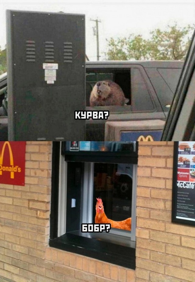 Отряд быстрого деградирования
