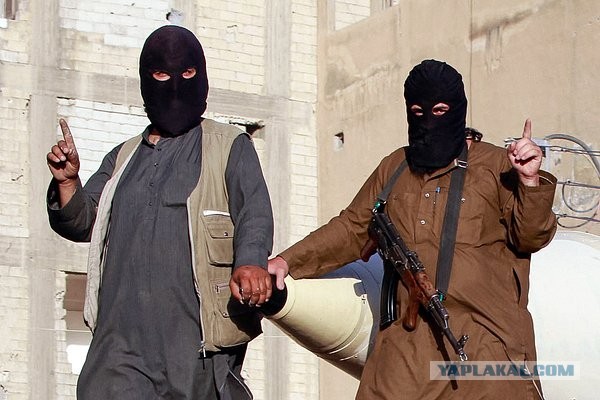 «Они жаждут крови и насилия» Радикалы-исламисты активно вербуют мигрантов. Как они готовятся к новым терактам?