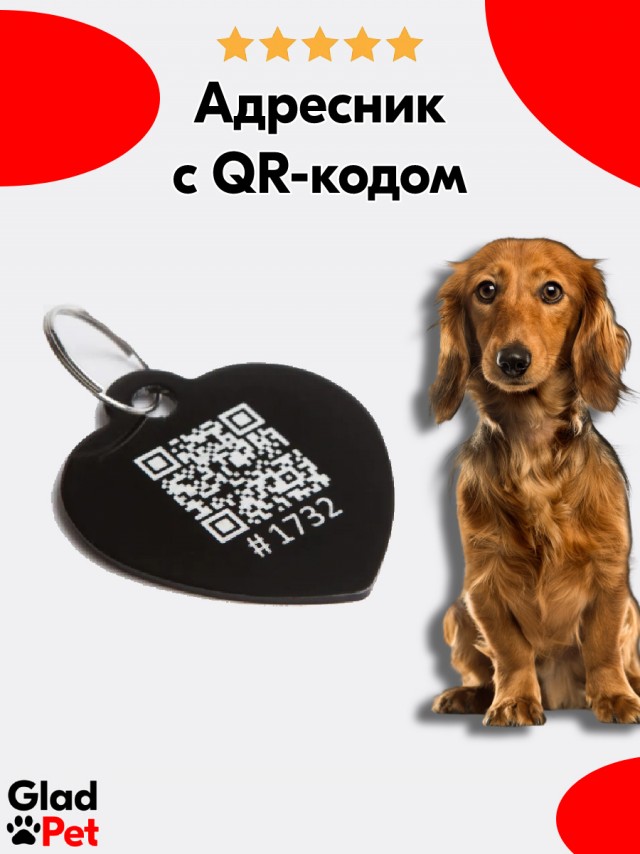 Как я вчера собаку нашёл