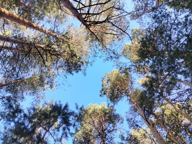 Осень на озёрах 2