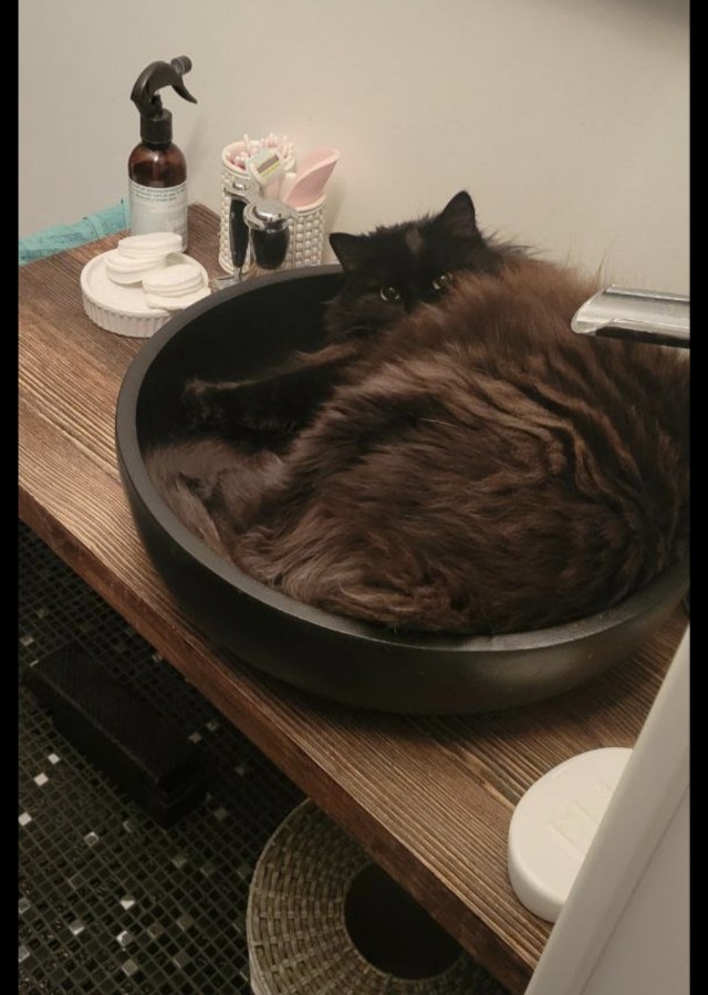 У вас молоко убегает