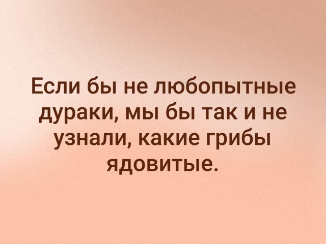 Так себе картинки 04.03.25