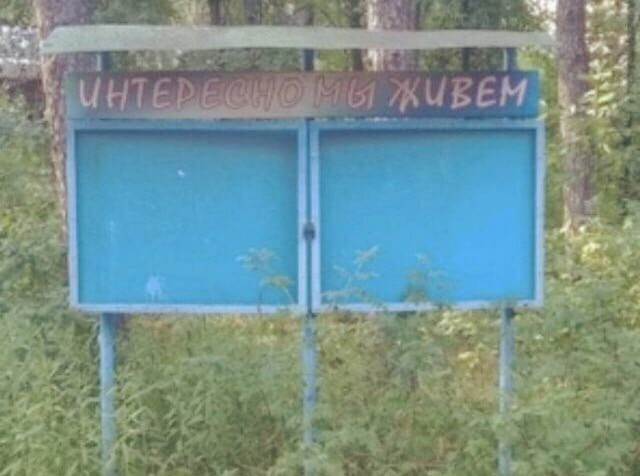Веселое настроение в картинках (31.07.2025)