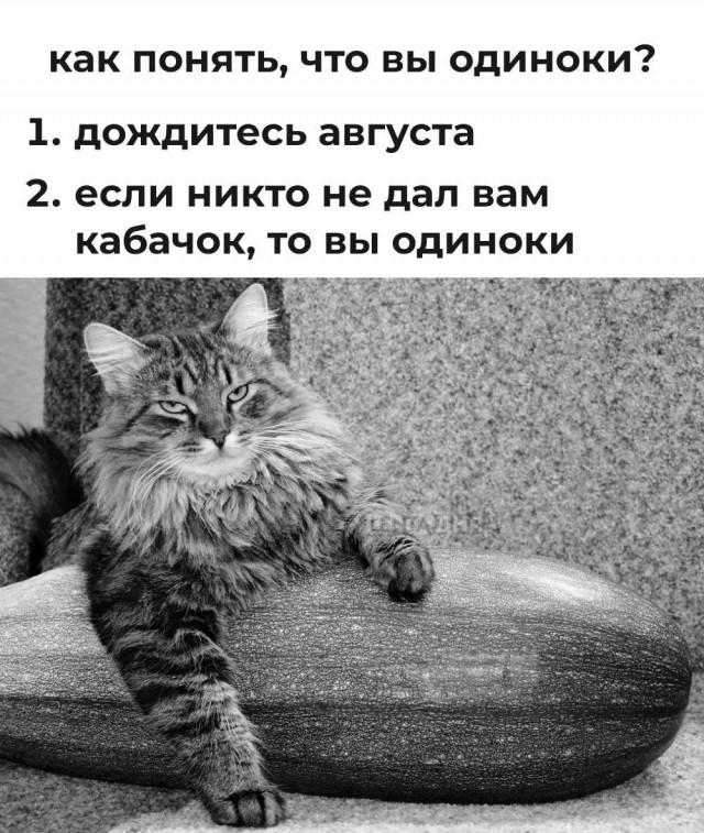 Отборные баяны 10-летней выдержки - ONLY US vol.1