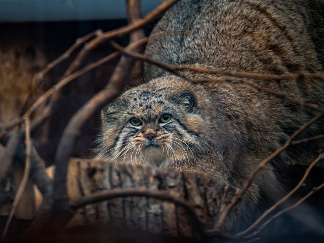 А теперь хорошие новости