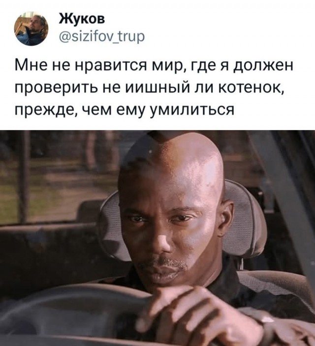 Среды картинки