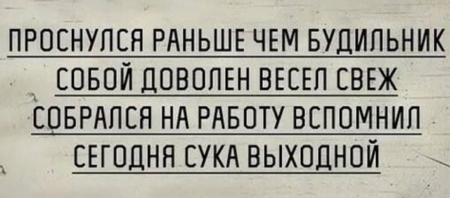 Так себе картинки 21.12.25