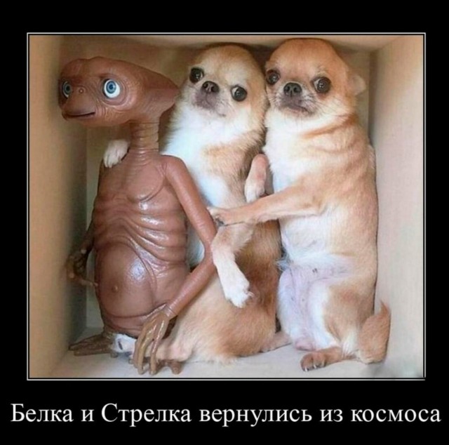 Так себе картинки 06.03.26