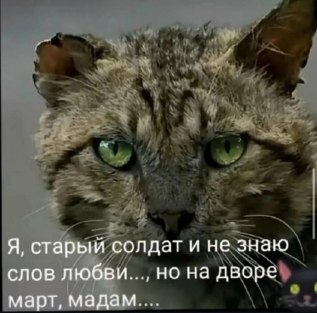 Субботние картинки