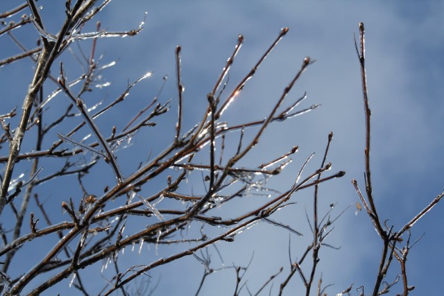 Ледяной дождь 03.05.24 (Лен.обл)