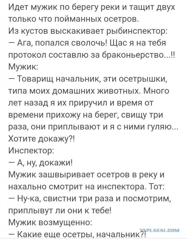 Фартовый рыбак нашёл чёрную икру и 29 кг осетра на берегу в Хабаровском крае