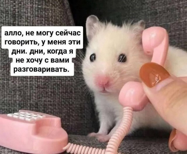 Психомемы-9