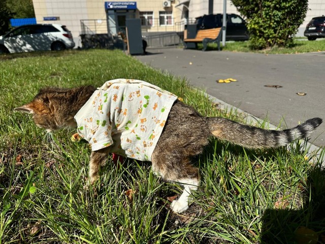 Памятник Мусе, которая больше 20 лет жила в МАИ, установили у входа в третий корпус