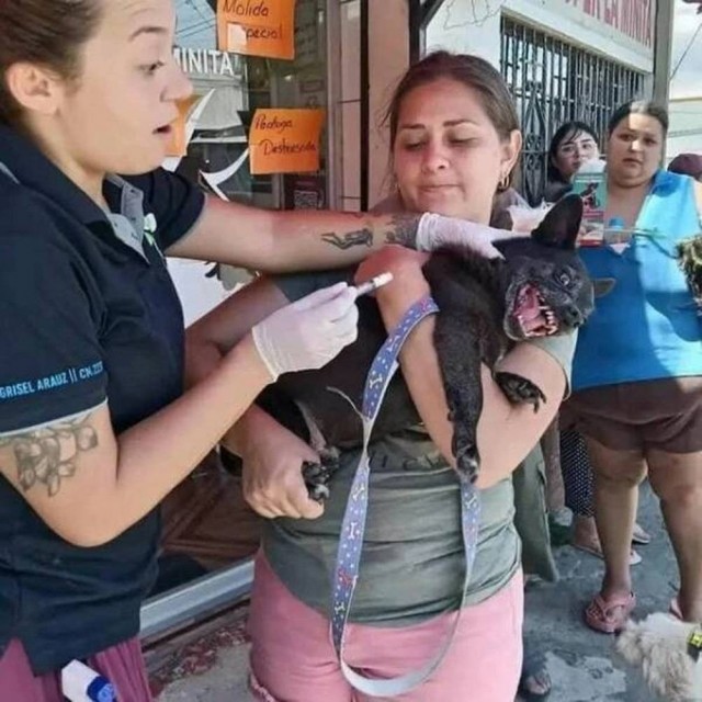 Картинки на 21.10.2026