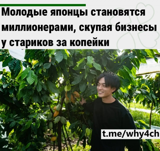 Молодые японцы становятся миллионерами, скупая бизнесы у стариков за копейки