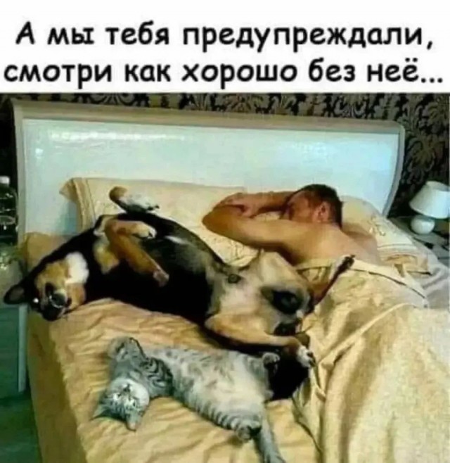 Веселые картинки в понедельник (26.10)