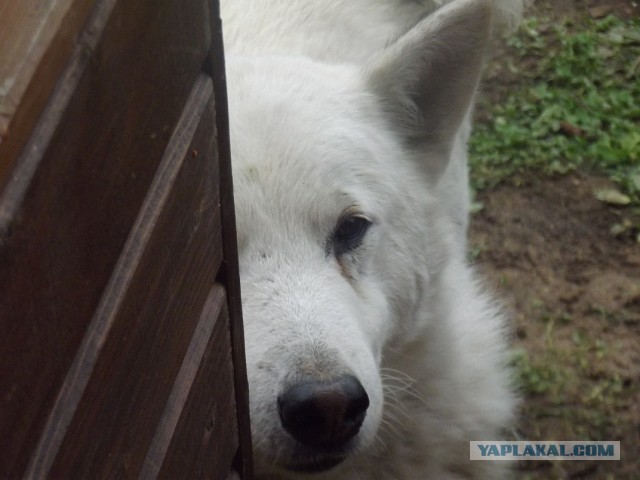 Одна поездка на озеро