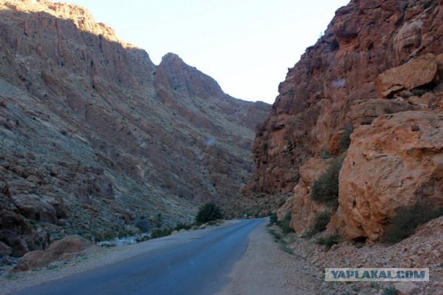 Новогодняя ночь в пустыне Сахара