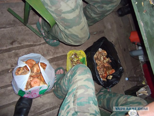 Сборы военнослужащих запаса