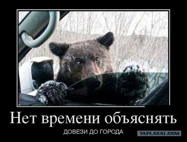 С миру по нитке. Демотиваторов чуть